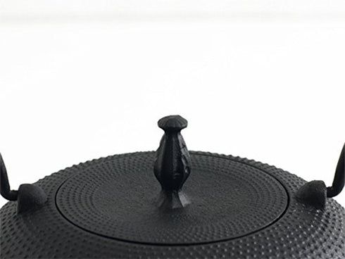 Nanbu Tetsubin kettle Jiyu Teapot and teaset