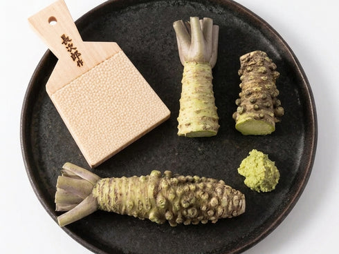 Wasabi grater Kitchen tools