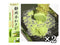Real wasabi paste