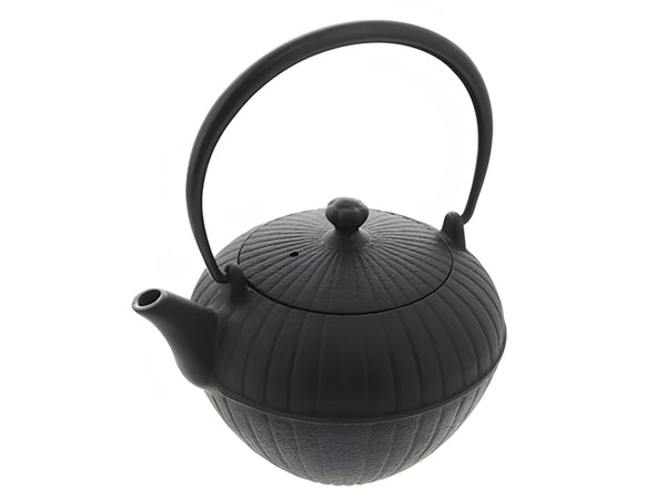 Nanbu Tetsubin teapot Seido