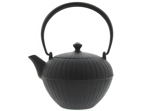 Nanbu Tetsubin teapot Seido