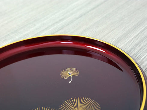 Nakanishi tray plate