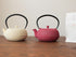 Nanbu teapot Hiramaru Teapot and teaset