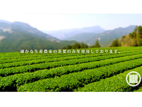 Yamecha sencha green tea (100g) tea & tea accessories