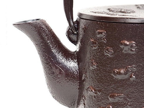 Nanbu Tetsubin kettle Sakura Teapot and teaset