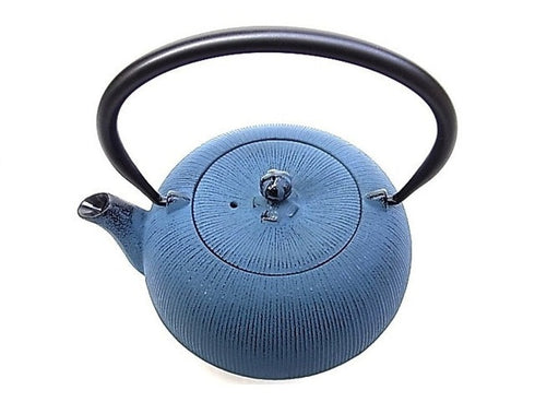 Nanbu teapot Hiramaru Teapot and teaset
