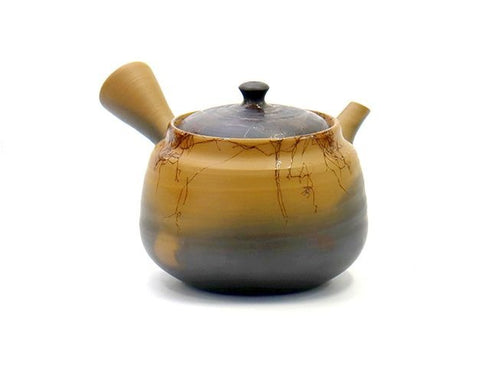 Hakusan kyusu teapot Teapot and teaset