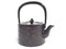 Nanbu Tetsubin kettle Sakura Teapot and teaset