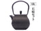 Nanbu Tetsubin kettle Gidai Teapot and teaset