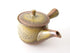 Senkin kyusu teapot Teapot and teaset