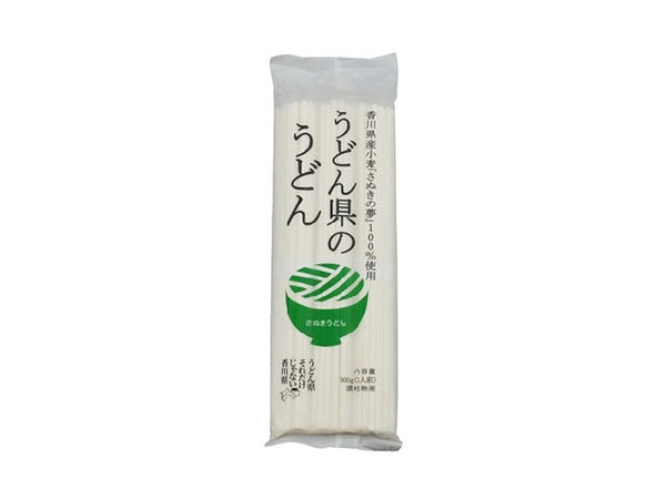 Udon noodles food