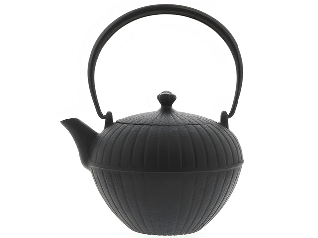 Nanbu Tetsubin Teapot Seido | Oigen Cast Iron Made in Japan | Japanese ...